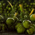 泰国安委会：中东冲突升级为‘国家危机’ 警告生活成本恐飙升