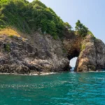 泰国执政联盟席位敲定：保民党主导 292 席，内阁及议长分配方案曝光