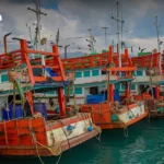 日本政府通过高中免费教育法案