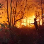 泰籍英裔女星 Laila Barwick 获选出演 HBO 新版《哈利·波特》中潘西一角