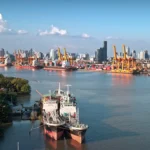 泰国新鲜榴莲出口激增67% 中国加强检查致冷冻榴莲出口下滑