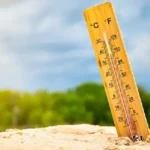 高市首相访美：避免与特朗普生隙，但未能实现联合对华一致目标