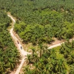 曼谷MRT全面无现金化：泰国将从2026年6月起淘汰旧交通卡