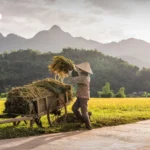 泰国副总理兼财长埃克里尼：亚洲须投资、改革与合作以实现可持续增长