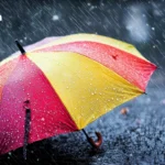 总理安努廷：要求自豪泰国党议员全员出席 3 月 14 日国会皇家开幕仪式