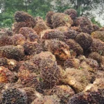 泰国海上执法指挥中心澄清：网传“群聚油轮”实为海上油气平台作业船只