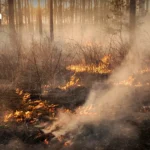 泰国 4 月 1 日起严打十大交通违规，最高可面临监禁及高额罚款