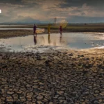 泰国总理痛斥“叛国”油贩：驶往柬埔寨走私网被揭，成立专项小组严打囤积行为