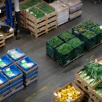 特别内阁会议审议政府政策草案 副总理埃克尼提更新石油基金计划