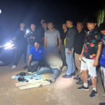 曼谷国际车展刷新历史纪录 汽车预订量占全年目标近两成