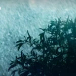 航班取消或延误？了解您的权利，最高可获得 4500 泰铢赔偿
