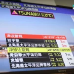 中国仿人机器人在北京半马赛中疾驰超越人类选手