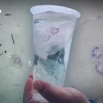 泰国红地铁线女司机上岗期间突发尖叫 官方宣布停职待查