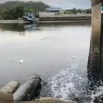 曼谷伦披尼公园将迎来百年庆典 纪念拉玛六世皇家恩泽