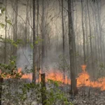 泰国警方带媒体探访泰柬边境诈骗窝点：揭露牢房、酷刑室与罪恶帝国