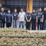 阿努廷承诺设立小组重新研究南部陆桥项目以回应反对声音