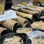 DBD与DSI联手打击泰国热门旅游区的外国代持公司