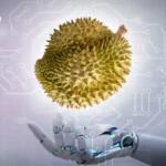 泰军称柬方在素林附近的射击行为违反停火谅解