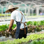 泰国在宋干节前面临危险极端高温