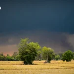 中国买家撤退，俄罗斯买家重塑泰国公寓需求