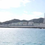 日本栃木抢劫杀人案再逮捕3名少年