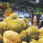 丰田销量连续第三个月下滑，中东和中国市场需求拖累全球表现