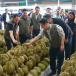 马卡桑车祸受害者DNA鉴定预计周二完成