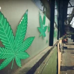 高市早苗与马克龙确认合作以缓和中东局势