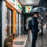 泰国禽肉出口因中国禁令和冲突面临危机