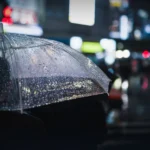 希望的诞生：一位年轻公主的共情如何建立国家生命线