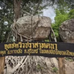 泰国知识产权局联合国际刑警组织等机构 dismant 泰马跨国盗版网络