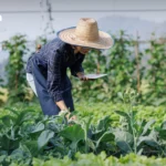 2026年曼谷骄傲游行闪耀登场，亚洲游客成为预订主力，将曼谷推向旅游焦点