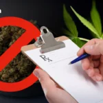 柴瓦塔那蘭寺：浴火重生的古剎