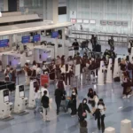 日本两家医院拟于2028年启动首例猪肾人体移植临床试验