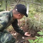 拉玛九路与邦纳成曼谷楼市搜索热点：前者主导公寓市场，后者称霸独立屋及联排别墅