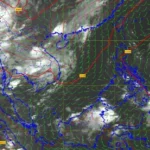 正大集团推出“植树造林代币化”模式，将森林恢复打造为泰国自然资本新模式