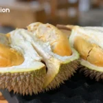 泰航：澳洲航线运营及票务不受涉毒案影响