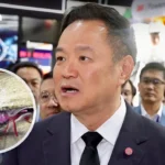 泰国2026年第一季度能源消耗上升2.1%，GDP增长2.8%