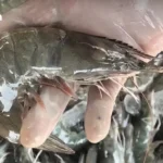泰国气象局发布暴雨预警：南海低压系统不影响泰国