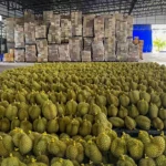 泰国拟重启“未来基金”筹资基建 以资产循环缓解债务压力