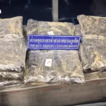 埃尔多安赠送左轮手枪令北约领导人陷入窘境