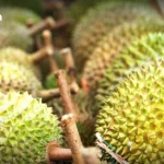 泰国房企转向“现金为王” 购房者撤退致行业投资骤降