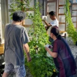 东海道与山阳新干线将于十月推出“至尊舱”服务，打造超越绿色车厢的高端出行新体验
