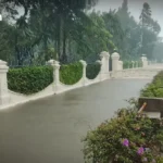 泰国牵头11国联合行动，严厉打击诈骗电话中心与人口贩卖网络