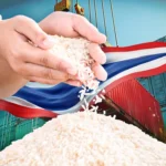 阿努廷与敏昂莱承诺深化泰缅贸易关系