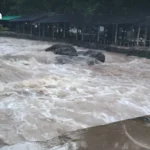 为何游客仍愿支付不丹每晚100美元的旅游费