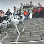 泰国旅游接待游客达1850万人次，航空运力与安全隐忧拖累增长