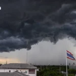 泰国国际货物贸易促进局动员全球贸易网络 加速加工水果出口进程