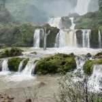 皇家驳船彩排期间湄南河渡轮服务调整
