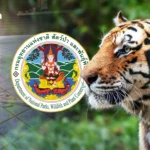 泰国八月美贸易谈判中寻求更广泛的美国关税豁免